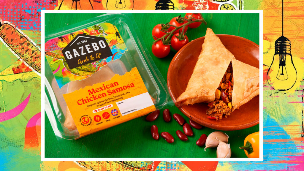 mexican chicken samosa